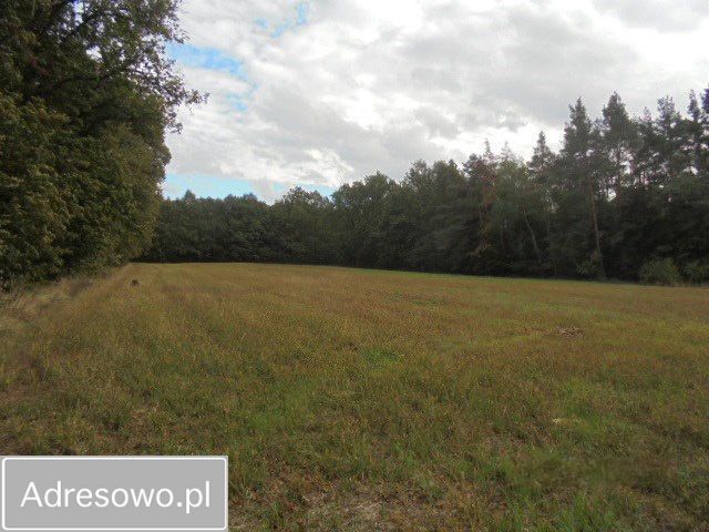 Działka inwestycyjna Kopaszyn. Zdjęcie 6