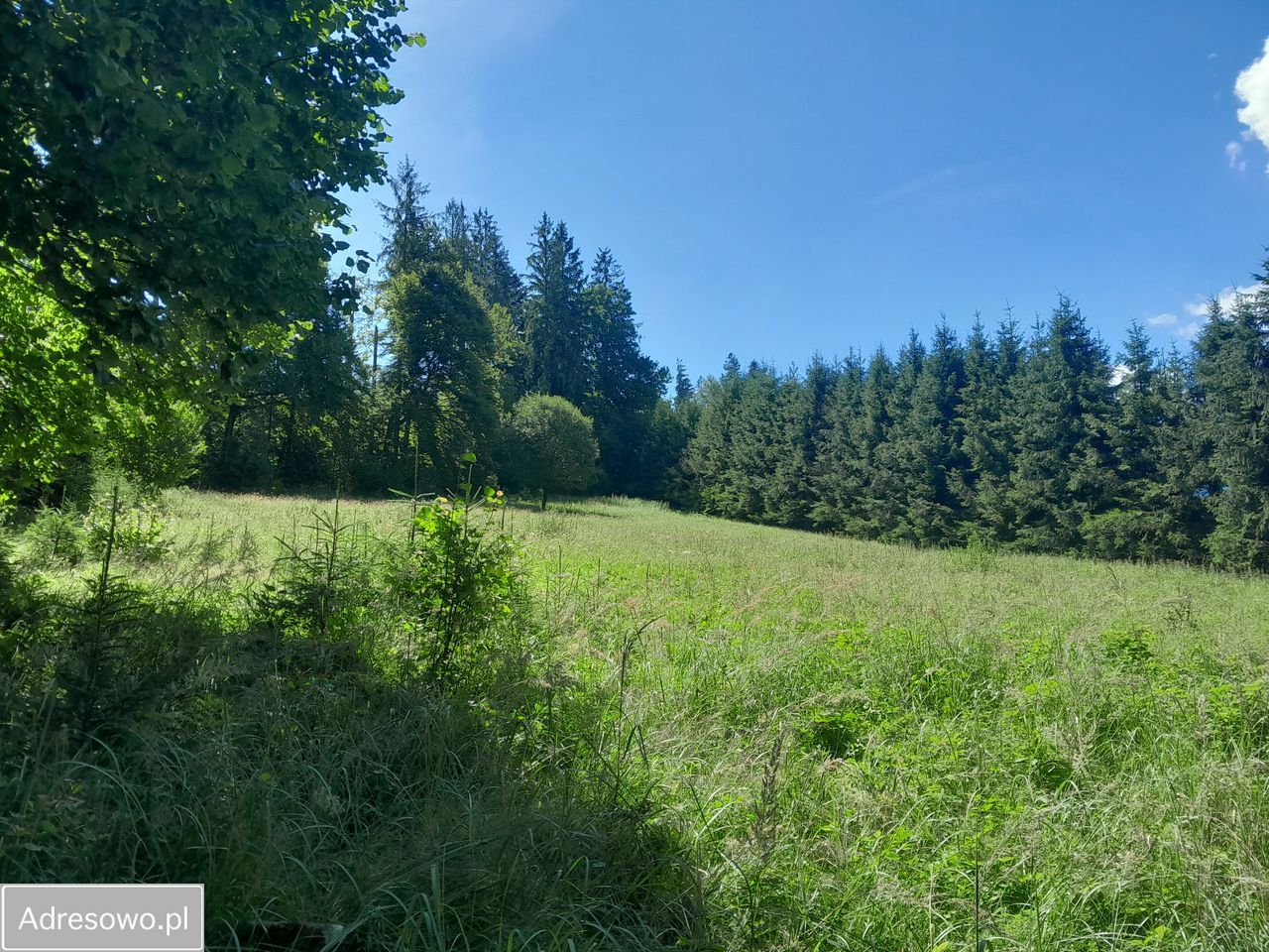 Działka budowlana Jaworzynka
