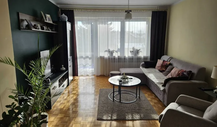 bliźniak Ostrowiec Świętokrzyski Piaski