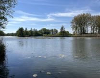 Działka rolna Piwonin. Zdjęcie 3