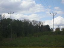 Działka Wełnica. Zdjęcie 4