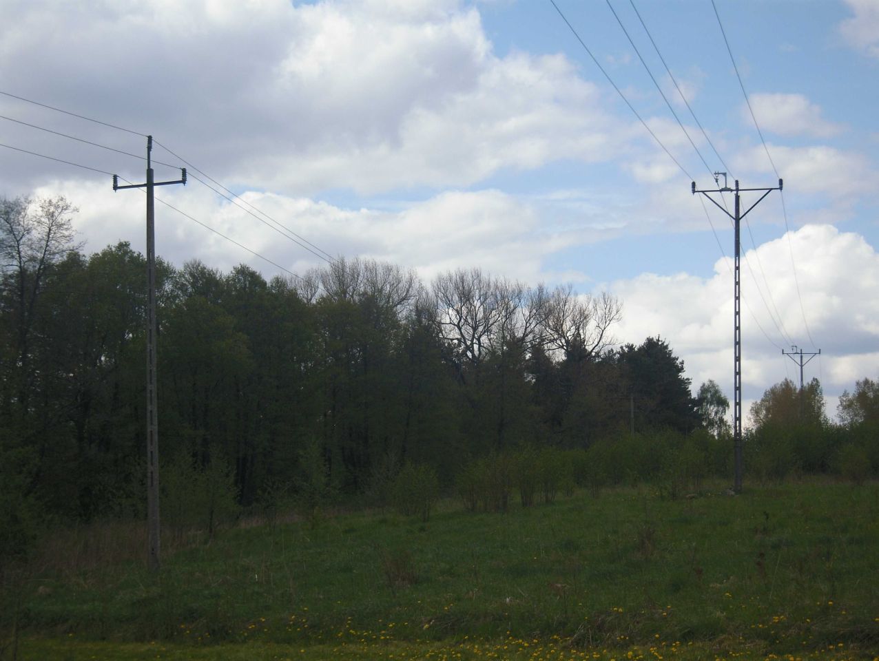 Działka Wełnica. Zdjęcie 5