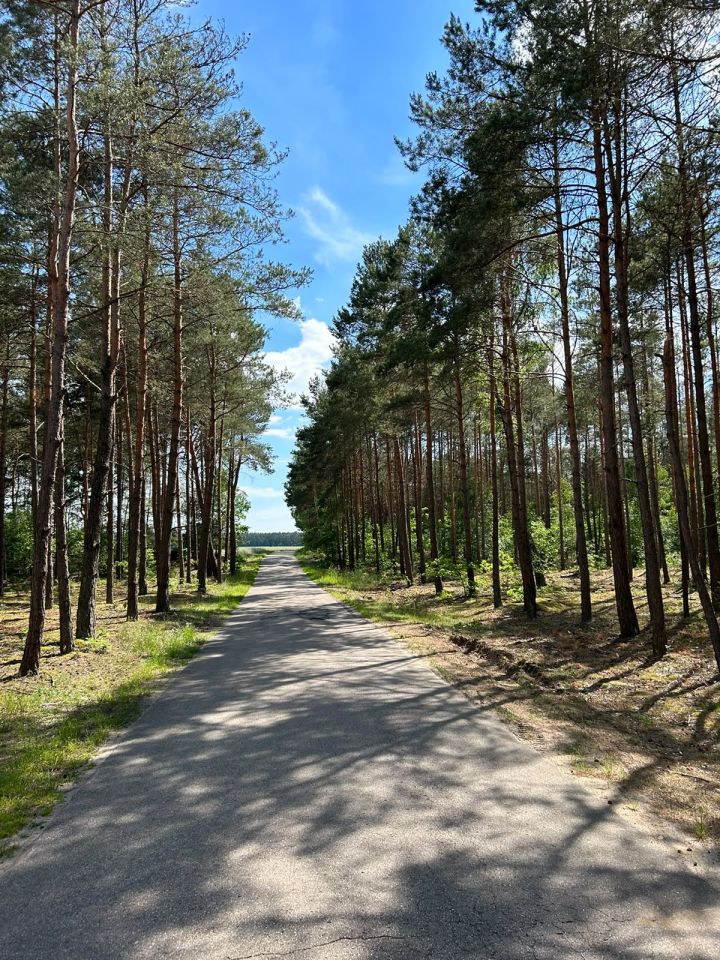 Działka budowlana Grzybowo. Zdjęcie 14