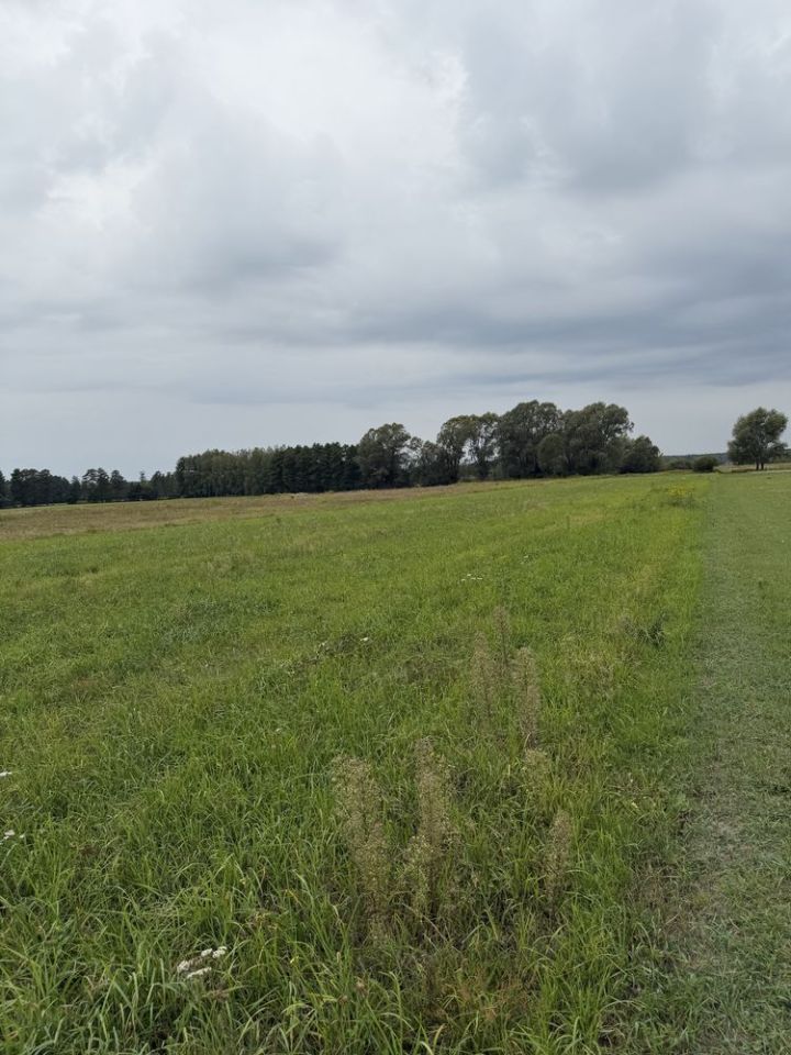 Działka budowlana Białe. Zdjęcie 7