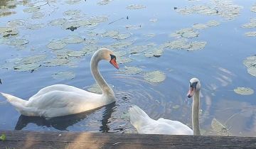 Działka rekreacyjna Berżałowce