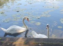 Działka rekreacyjna Berżałowce. Zdjęcie 1