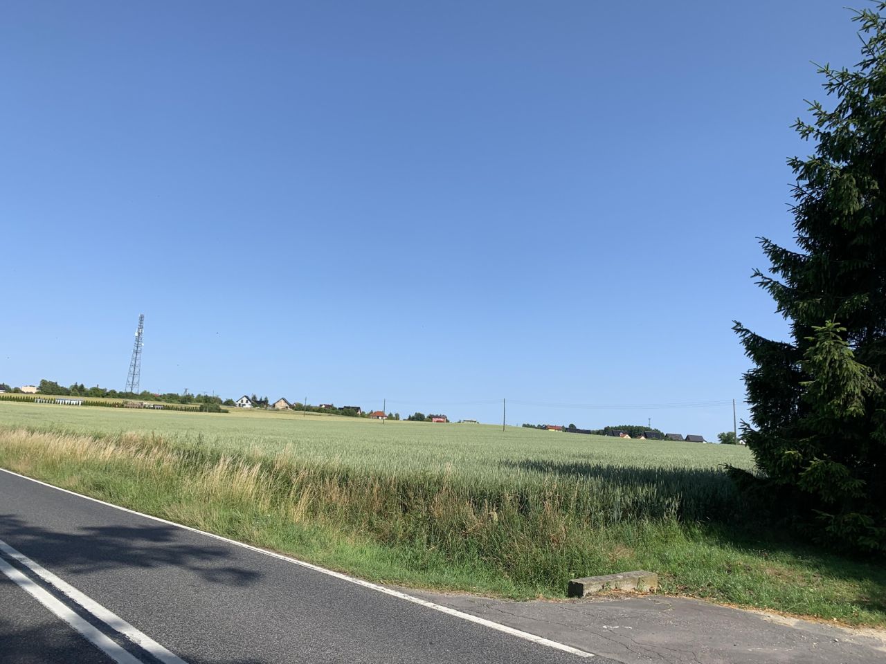 Działka budowlana Wińsko, ul. Wincentego Witosa. Zdjęcie 9