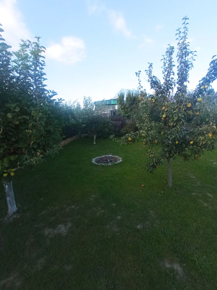 Działka rod Tczew Suchostrzygi, ul. Działkowa. Zdjęcie 7