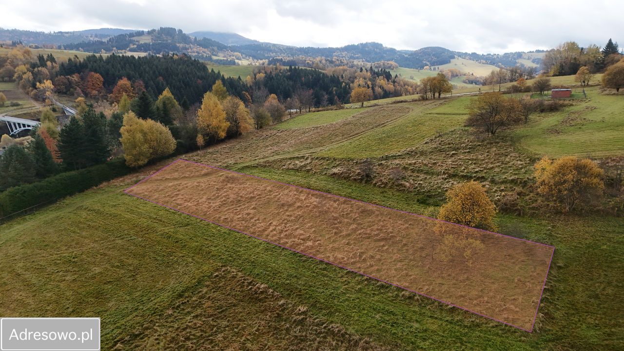 Działka rolno-budowlana Zwardoń Myto. Zdjęcie 6