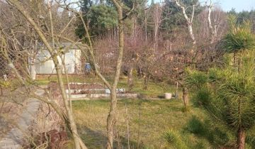 Działka rod Częstochowa Grabówka