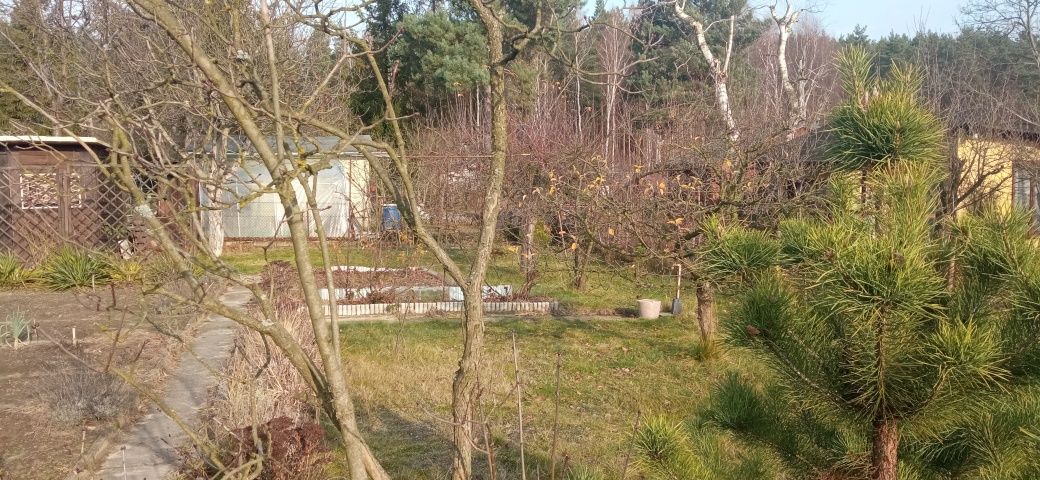 Działka rod Częstochowa Grabówka. Zdjęcie 2