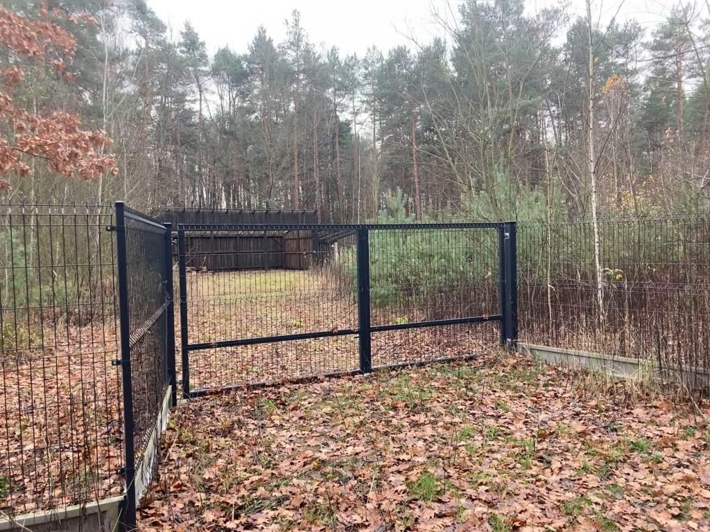 Działka leśna Osieck Kąciki, ul. Porannej Rosy. Zdjęcie 11