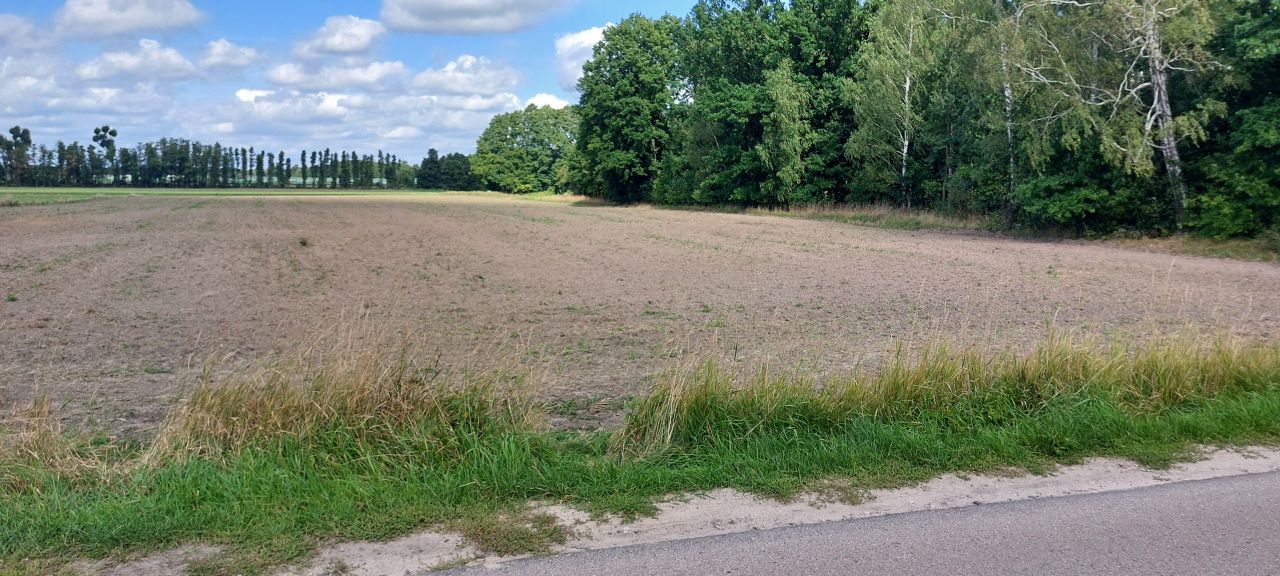 Działka budowlana Wołyń, ul. Akacjowa. Zdjęcie 4