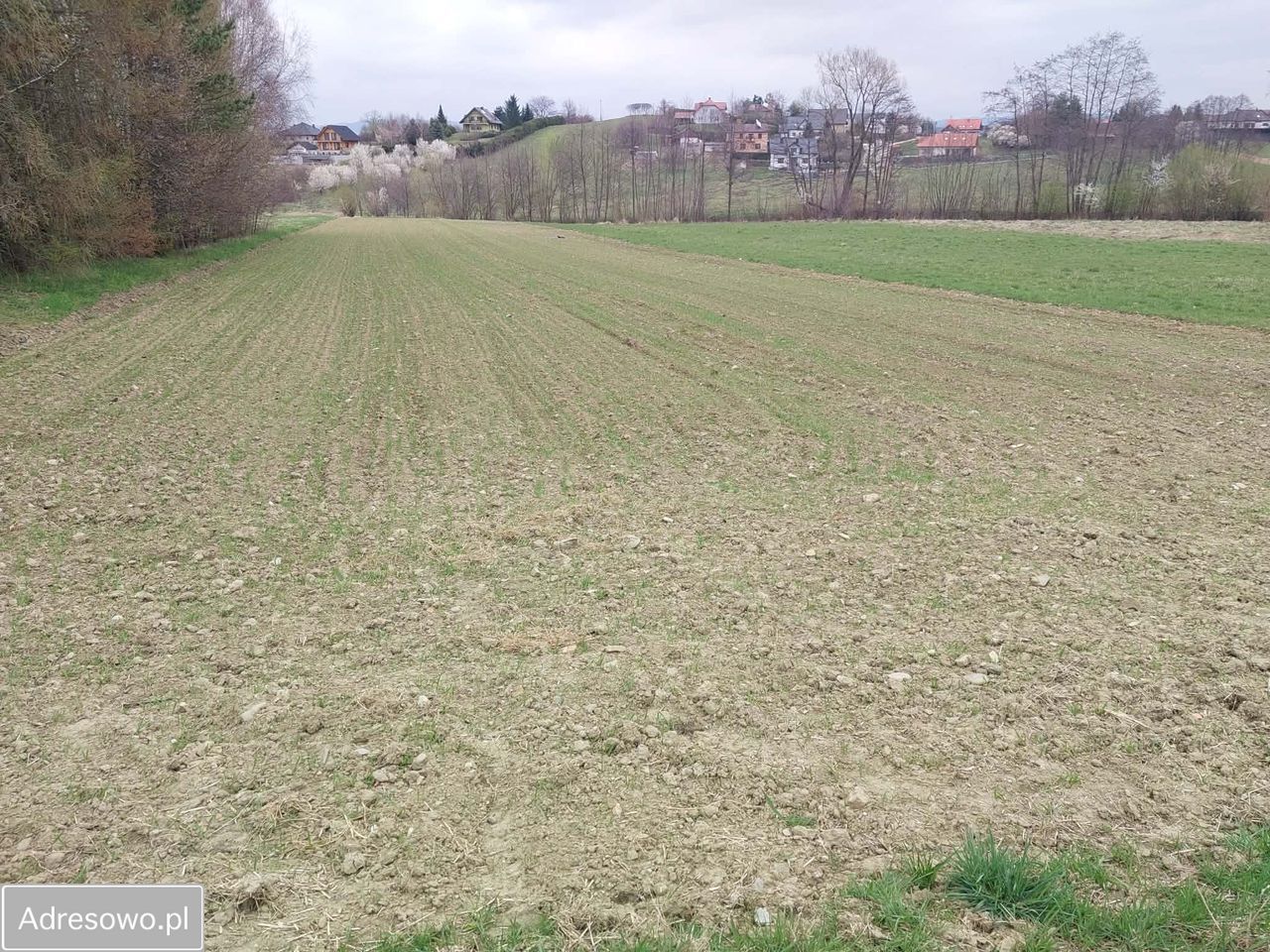 Działka budowlana Nowy Sącz, ul. Mała Poręba. Zdjęcie 7