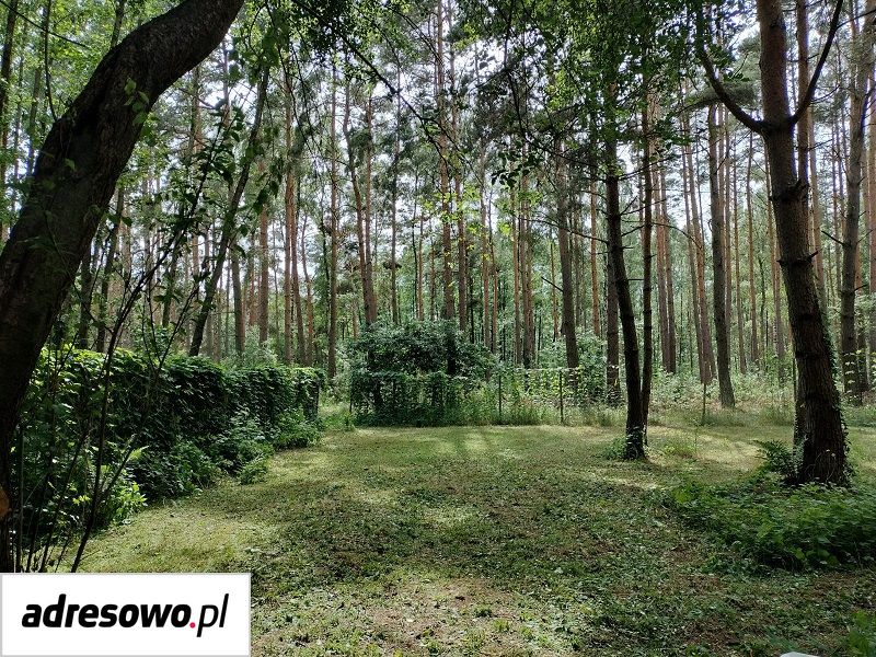 Działka budowlana Chomiąża Szlachecka. Zdjęcie 2