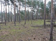 Działka rolna Budziska, ul. Ptasia. Zdjęcie 2