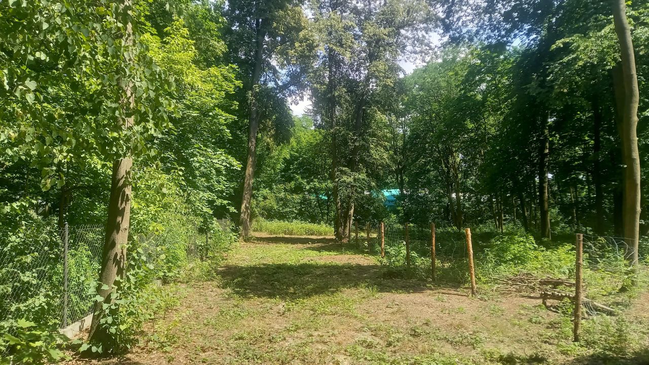 Działka leśna Podkowa Leśna, ul. Głogów. Zdjęcie 2