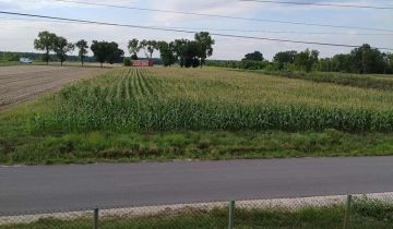 Działka budowlana Kikoły