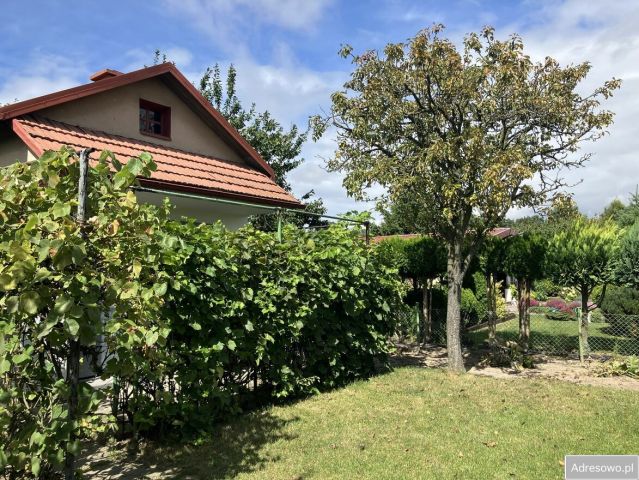 Działka rod Kalisz Szczypiorno, ul. Pogodna. Zdjęcie 1