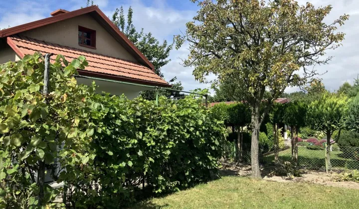 Działka rod Kalisz Szczypiorno, ul. Pogodna