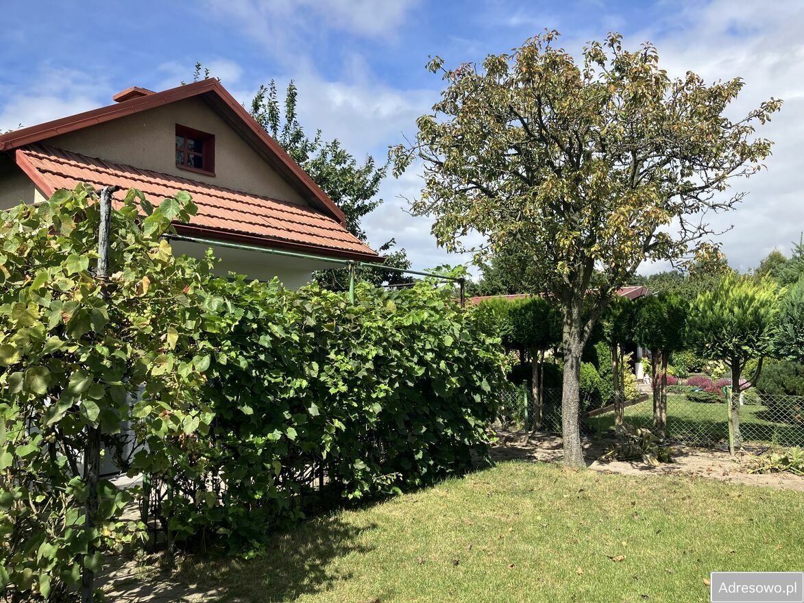 Działka rod Kalisz Szczypiorno, ul. Pogodna