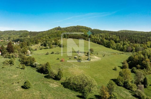 Działka budowlana Karpacz Wilcza Poręba. Zdjęcie 11