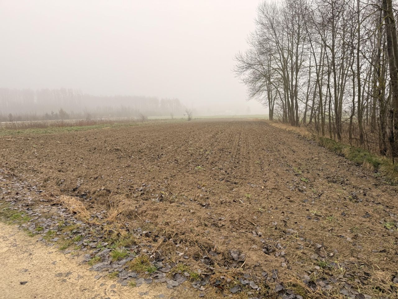 Działka budowlana Gułów. Zdjęcie 2