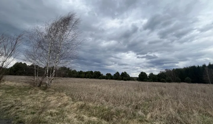 Działka budowlana Łasko