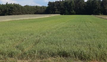 Działka rolno-budowlana Karolinowo