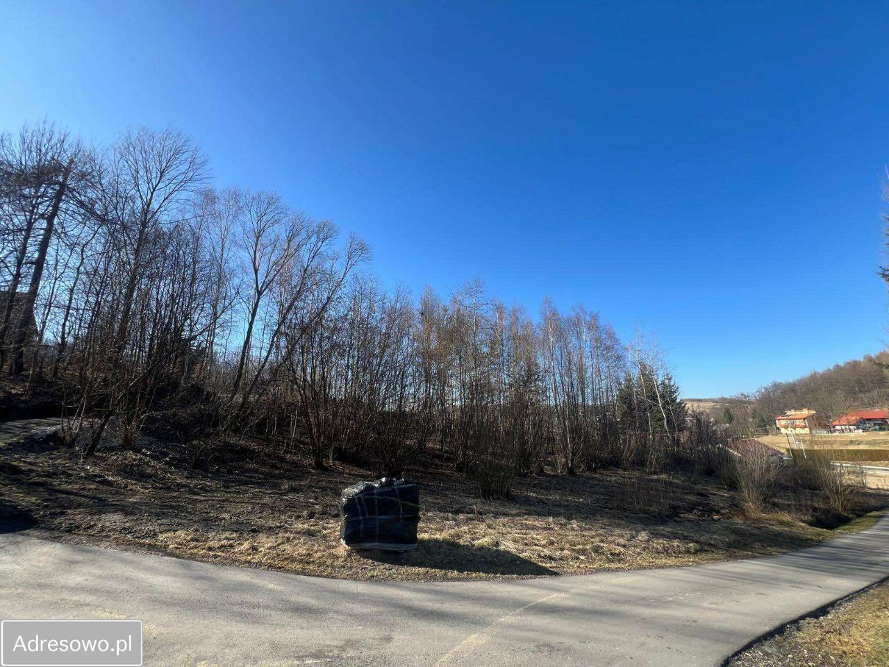Działka budowlana Jawornik Polski. Zdjęcie 18