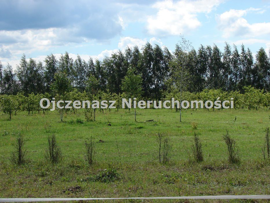 Działka budowlana Żołędowo. Zdjęcie 4