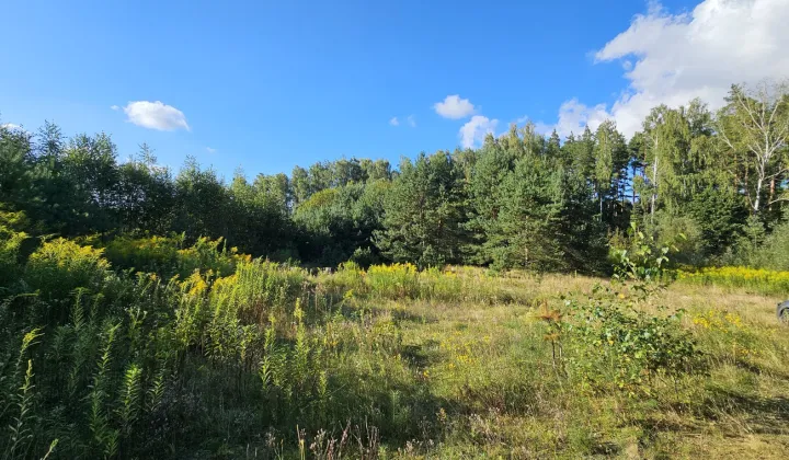 Działka budowlana Dorotowo