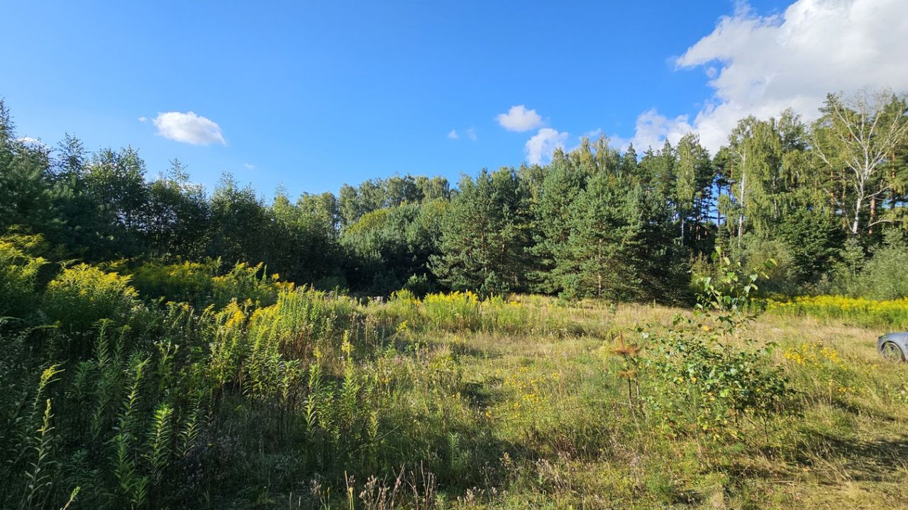 Działka budowlana Dorotowo