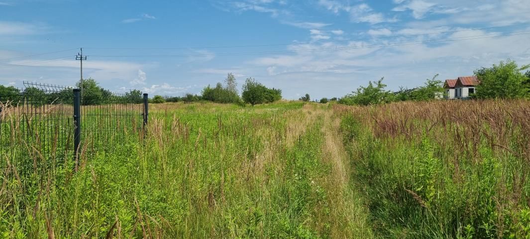 Działka budowlana Michałowice-Wieś. Zdjęcie 4