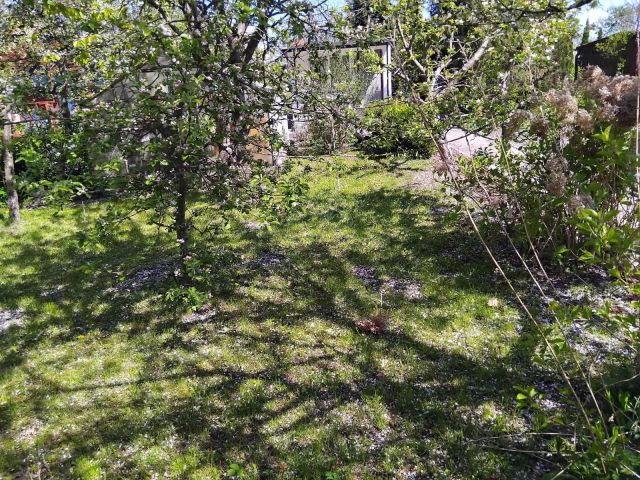 Działka rod Starogard Gdański, ul. Skarszewska. Zdjęcie 1