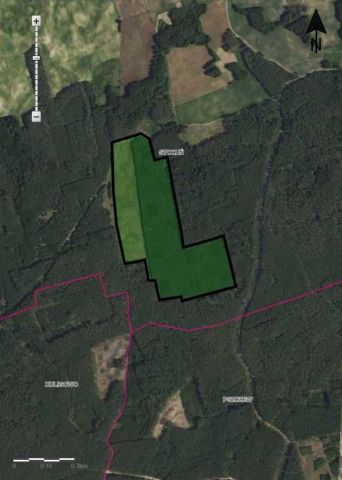 Działka leśna Stołuń, n/n. Zdjęcie 1