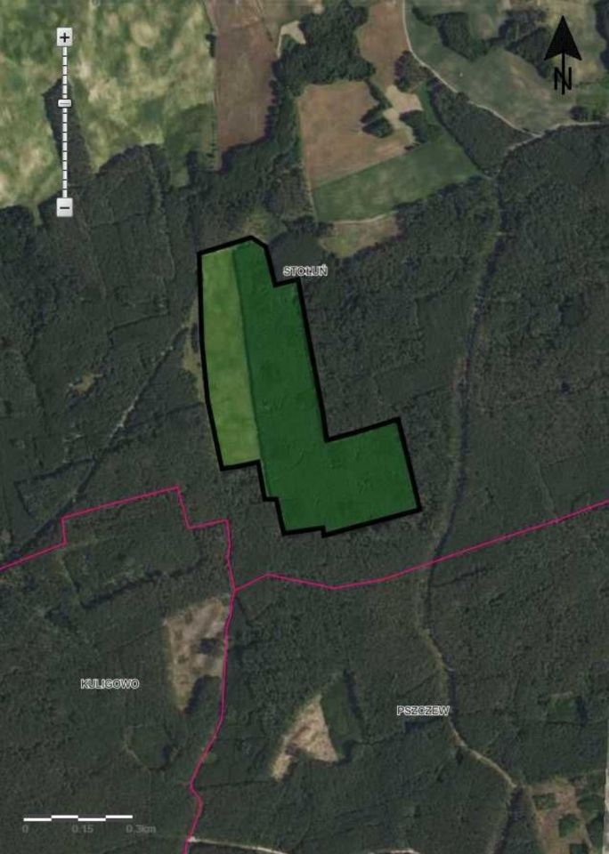 Działka leśna Stołuń, n/n. Zdjęcie 1