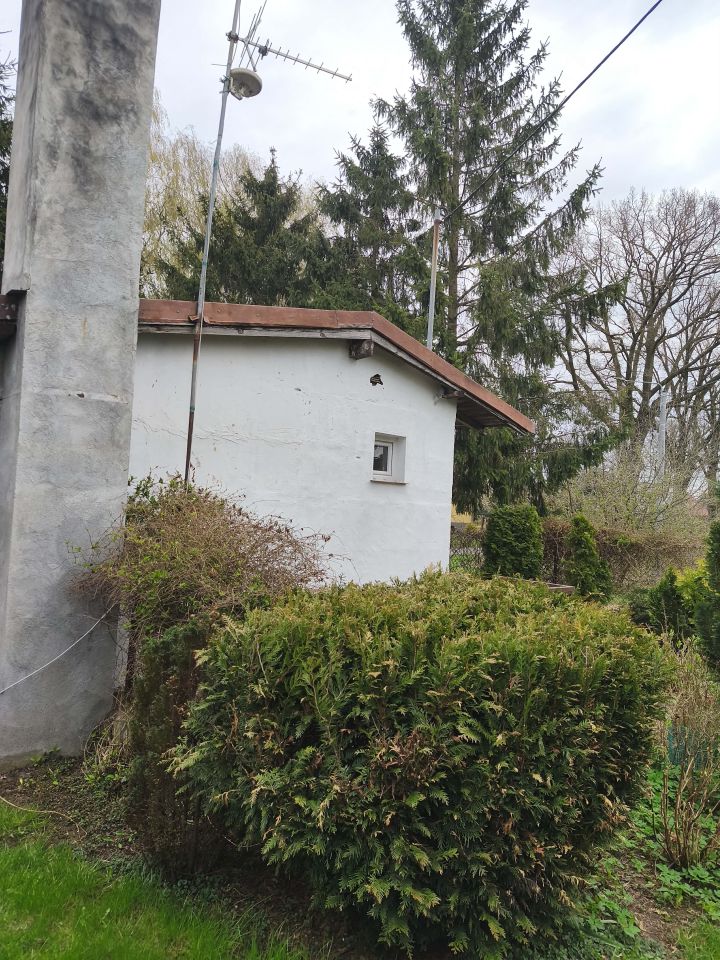 Działka siedliskowa Chełmoniec. Zdjęcie 2