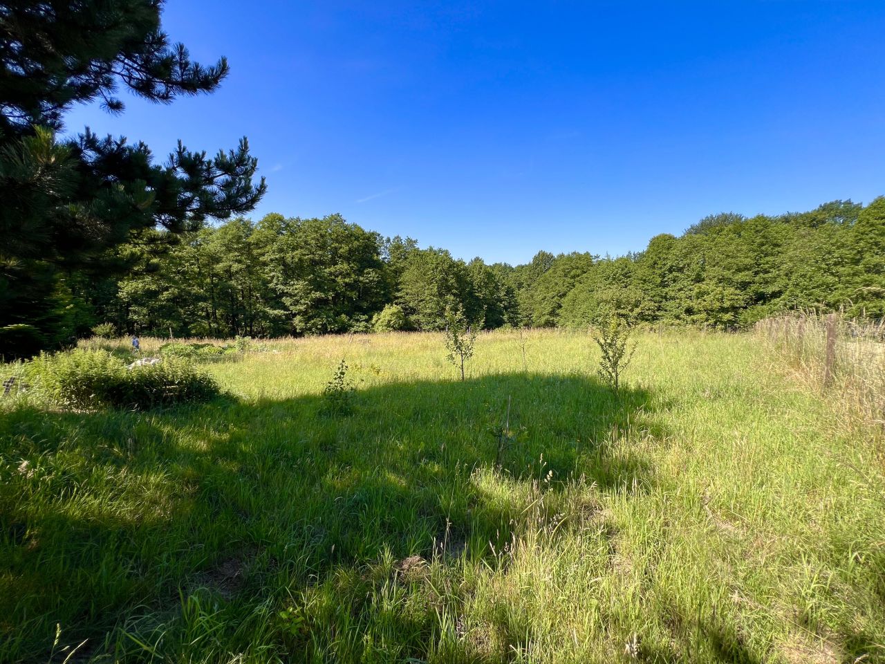 Działka budowlana Pszów, Pszów. Zdjęcie 9