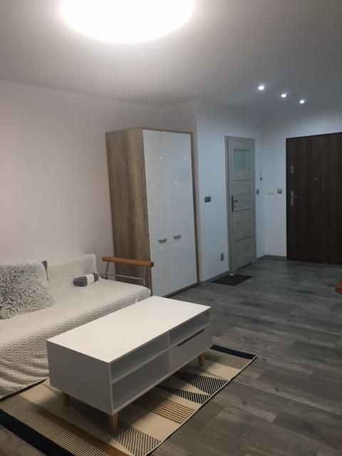 Mieszkanie 1-pokojowe Mikołów Centrum, ul. Storczyków. Zdjęcie 6