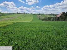 Działka rolno-budowlana Masłomiąca, ul. Długa. Zdjęcie 1