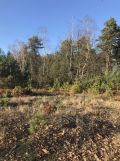 Działka rolno-budowlana Janów. Zdjęcie 1