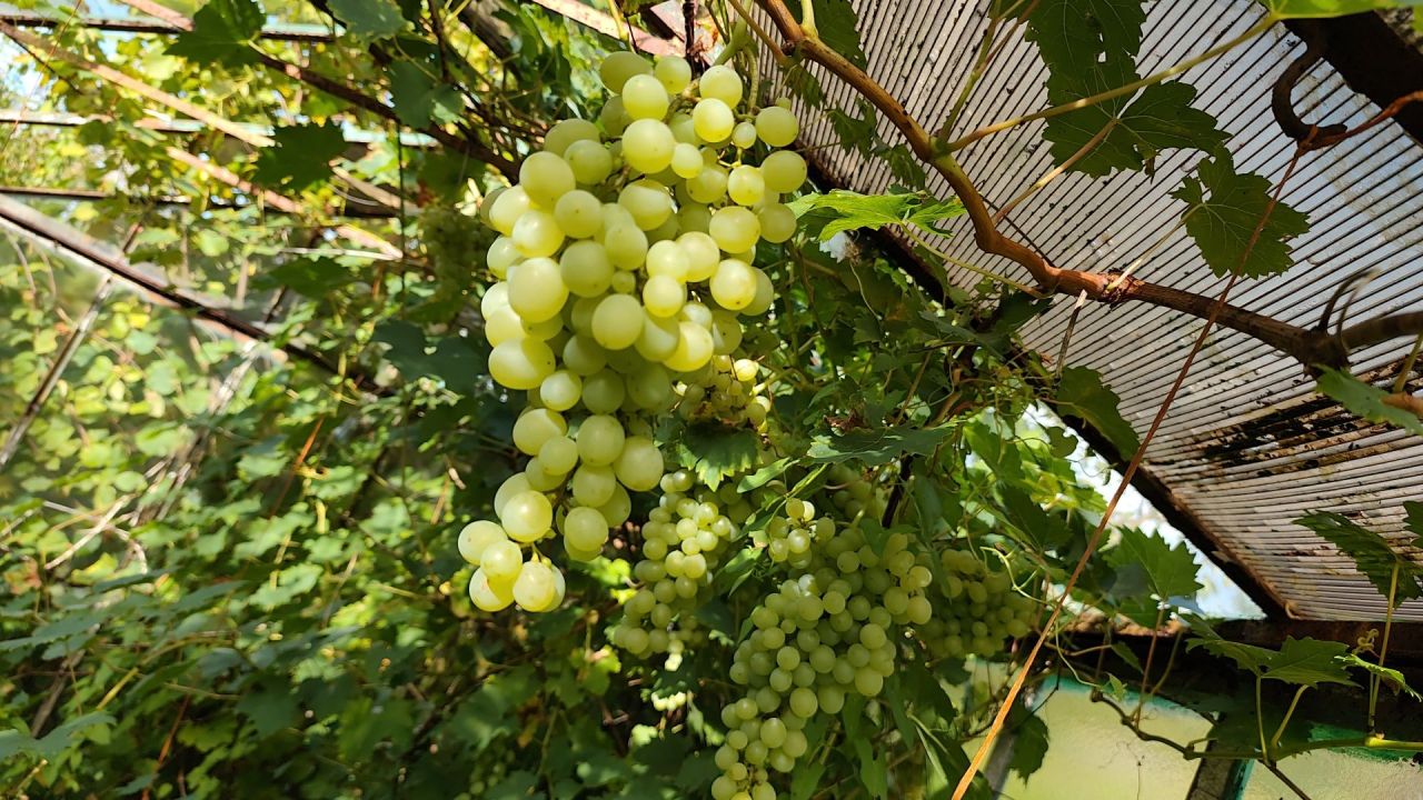 Działka rod Niekłonice. Zdjęcie 4