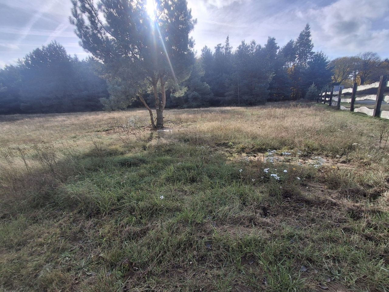 Działka budowlana Świniary. Zdjęcie 2