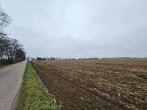 Działka rolno-budowlana Budziska. Zdjęcie 4