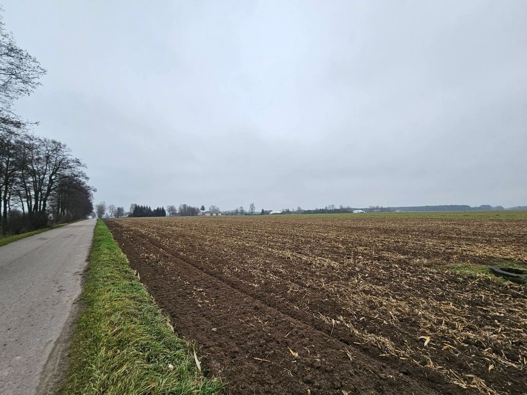 Działka rolno-budowlana Budziska. Zdjęcie 5