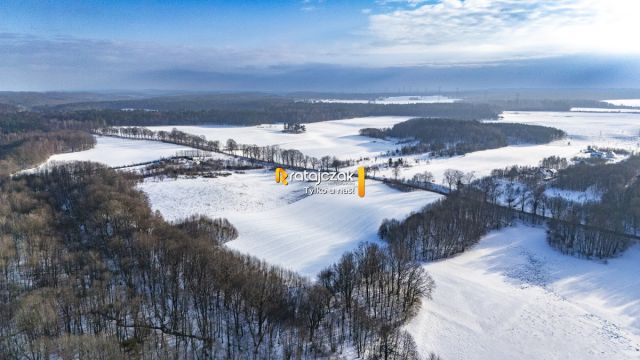 Działka rolna Mierzyno. Zdjęcie 3