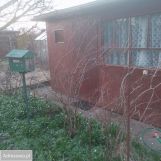 Działka rod Gdynia Babie Doły, ul. Zielona. Zdjęcie 1