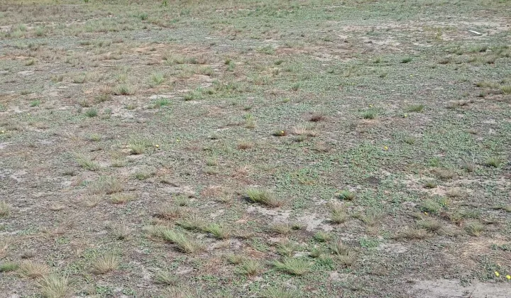 Działka budowlana Klwatka Królewska, ul. Graniczna