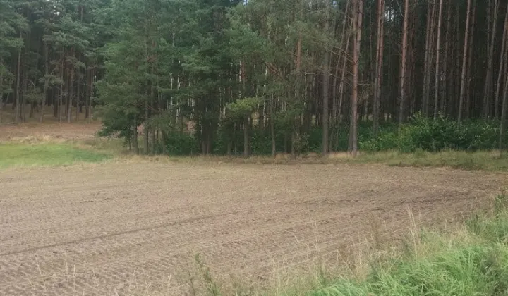 Działka budowlana Odry